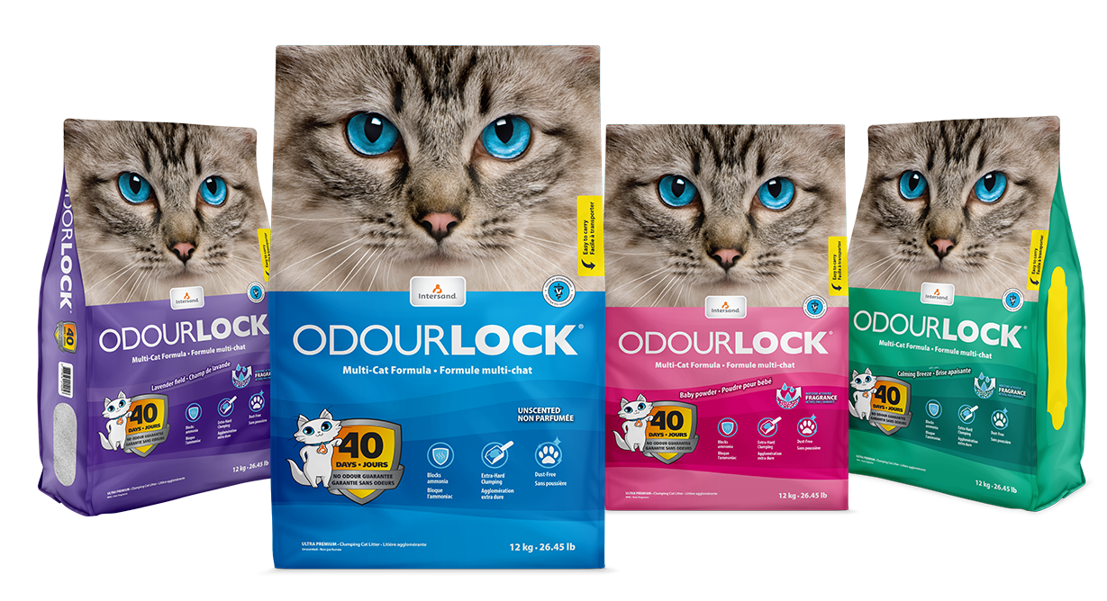 OdourLock - Arena aglutinante para Multi-Gatos