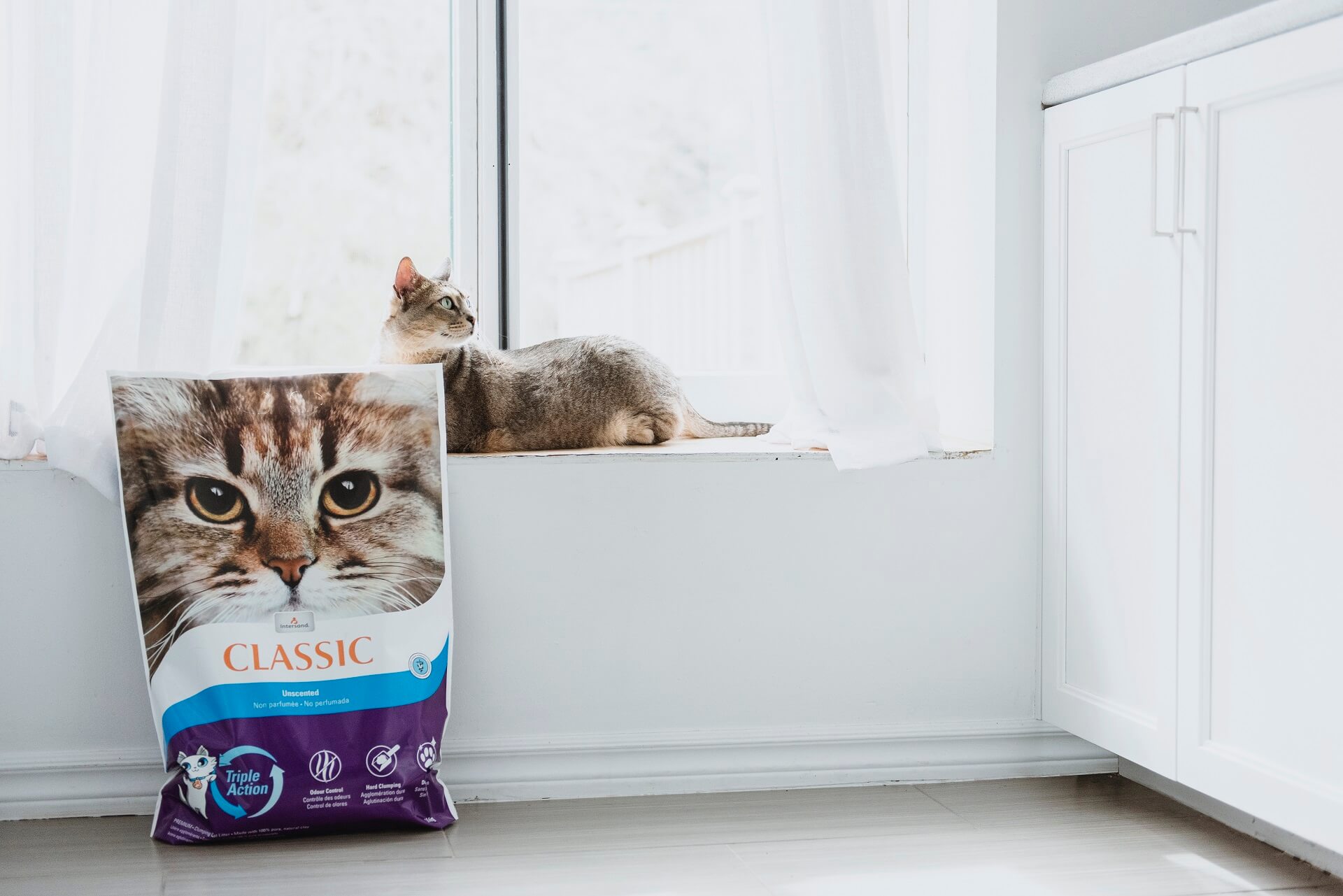 Classic – Scented clumping litter